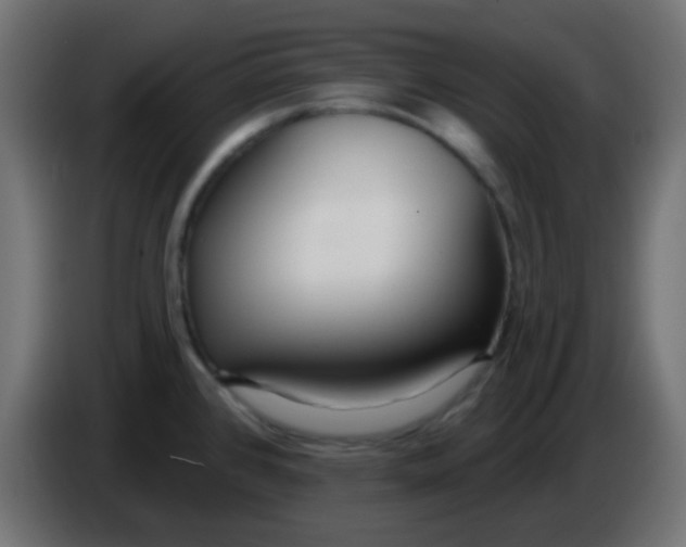 X0000086071384200704132031