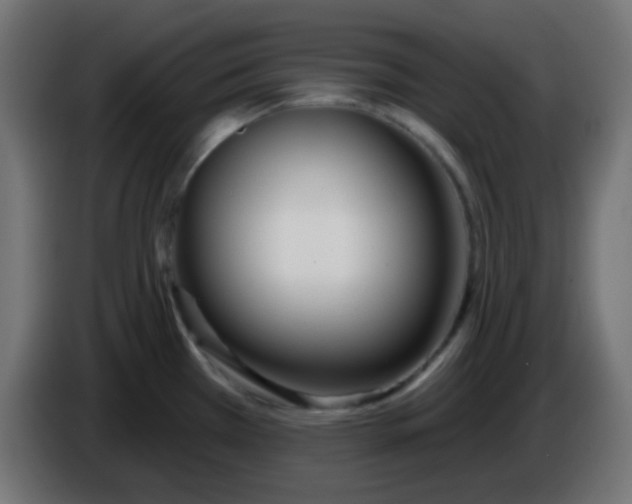 X0000086071385200704132031