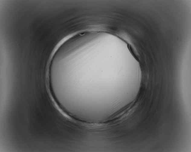X0000086071387200704132031