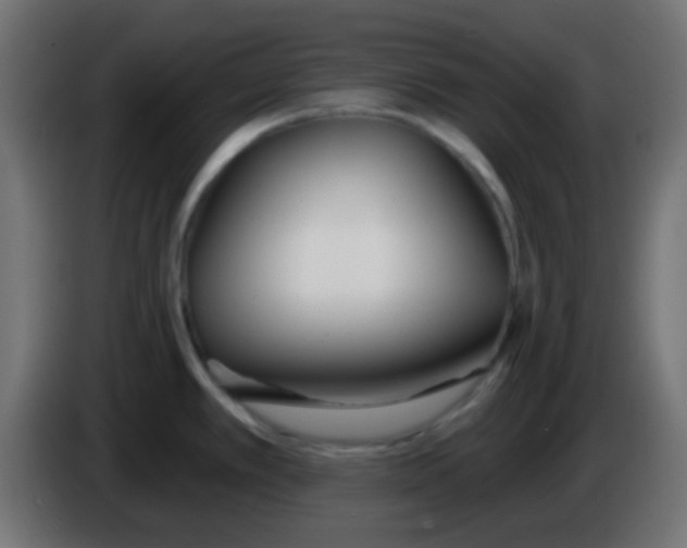 X0000086071389200704132030