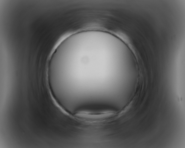 X0000086071390200704132030