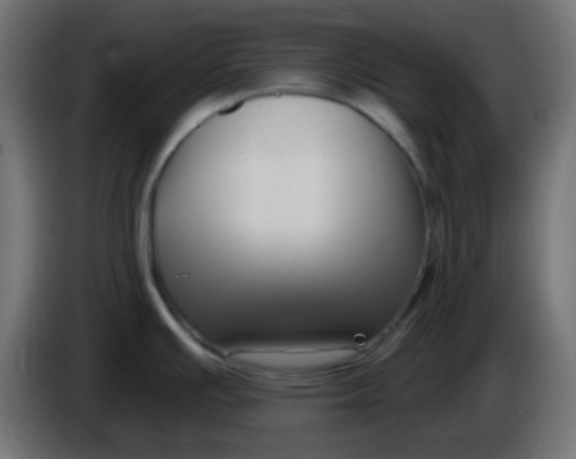 X0000086071391200704132030