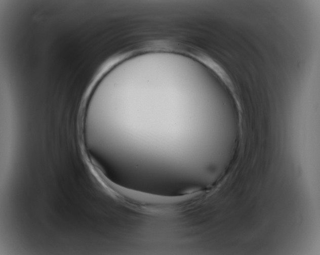 X0000086071392200704132030