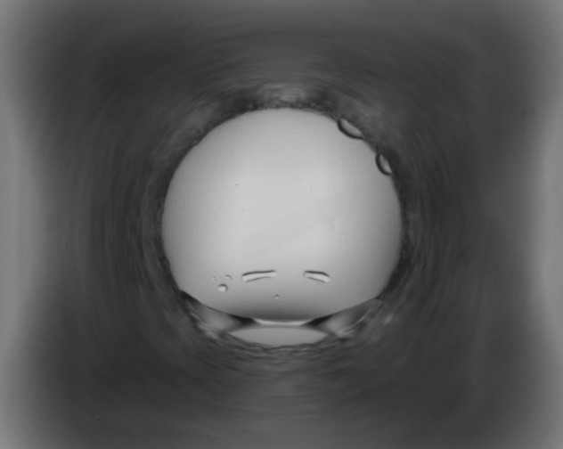 X0000086071393200704132030