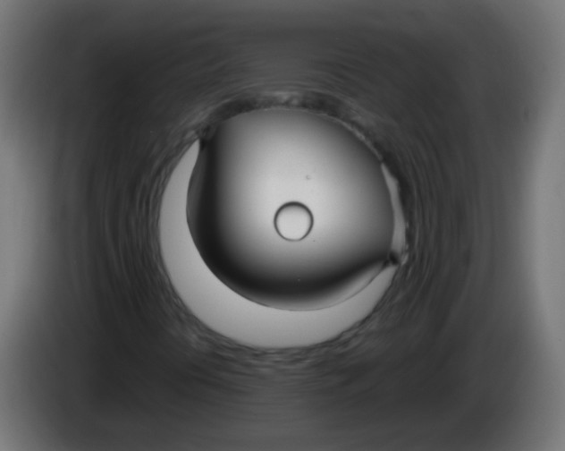 X0000086071394200704132030