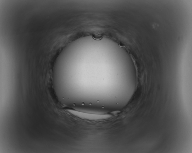 X0000086071397200704132030