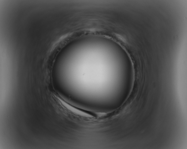 X0000086071398200704132030