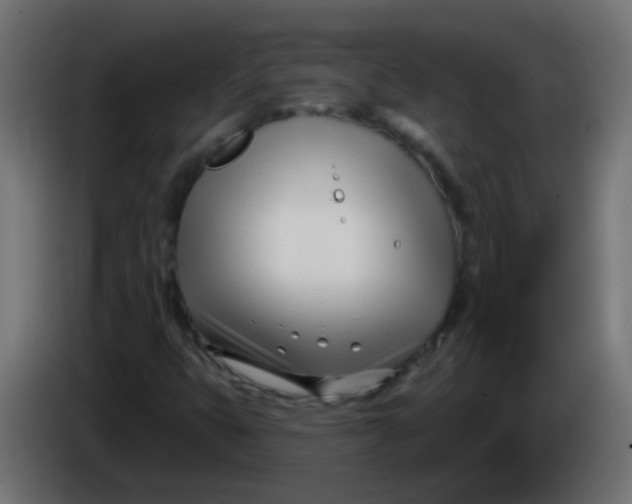 X0000086071399200704132030