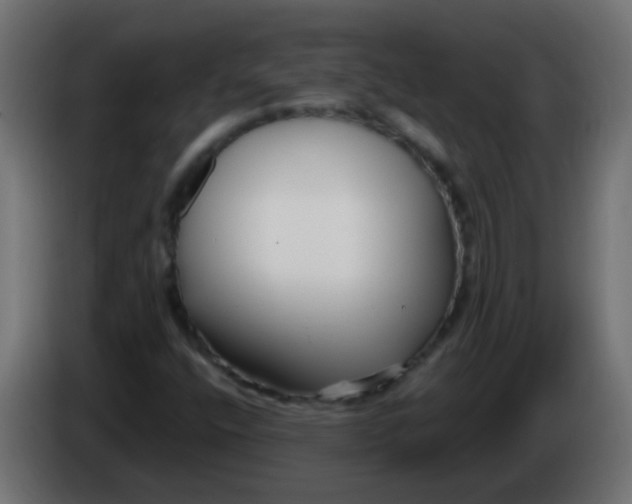 X0000086071400200704132030