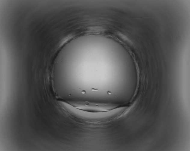 X0000086071401200704132030