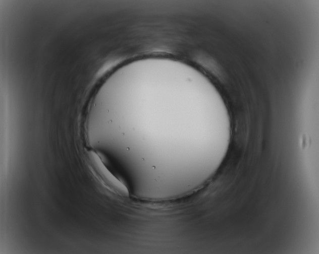 X0000086071404200704132030