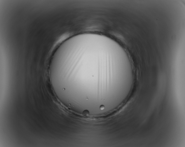 X0000086071405200704132030
