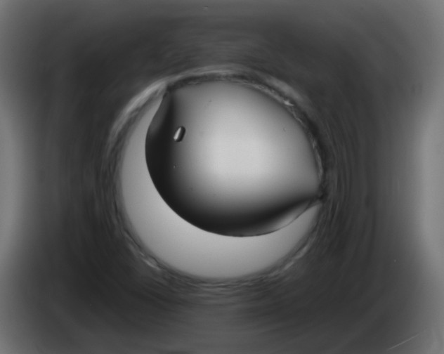 X0000086071406200704132030