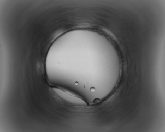 X0000086071409200704132030