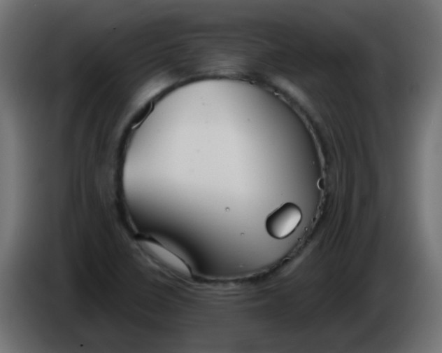 X0000086071410200704132030
