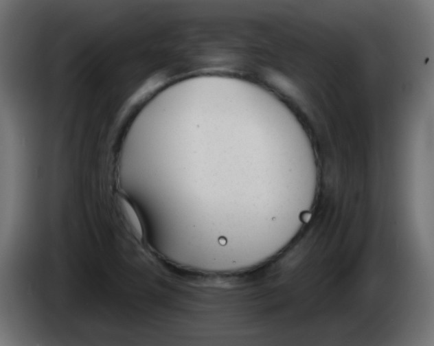 X0000086071411200704132030