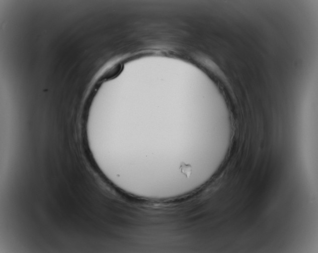 X0000086071412200704132030