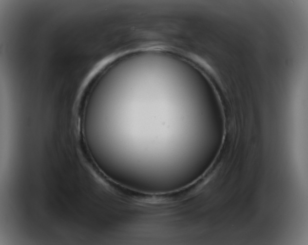 X0000086071414200704132030