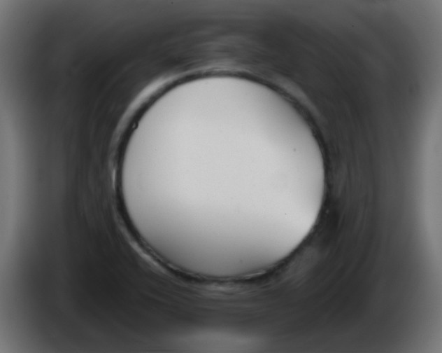 X0000086071416200704132030