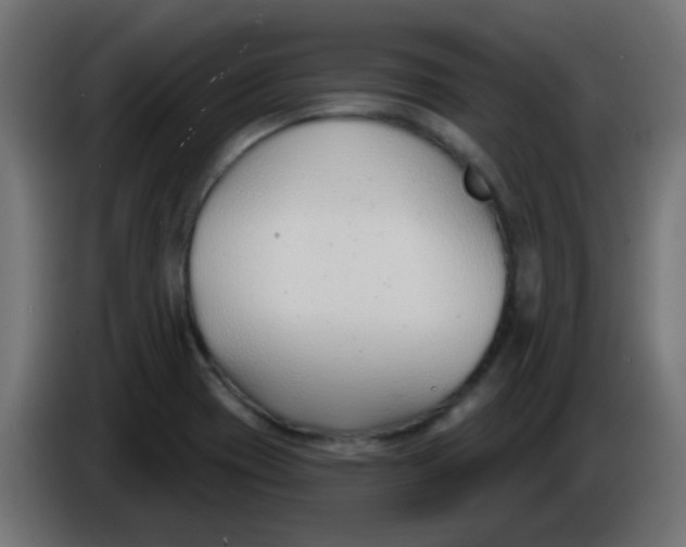 X0000086071417200704132030