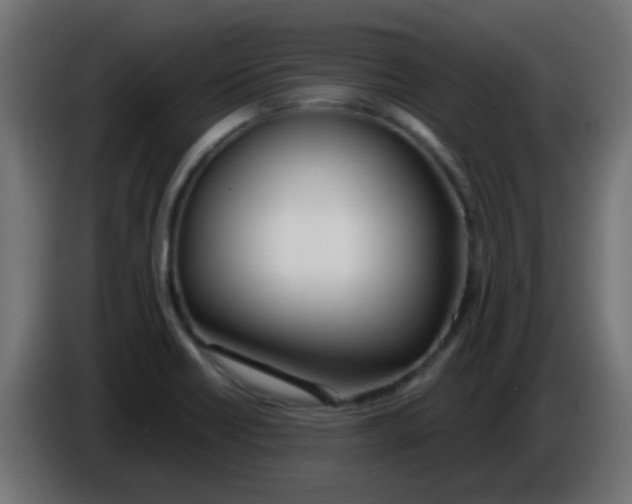 X0000086071418200704132030