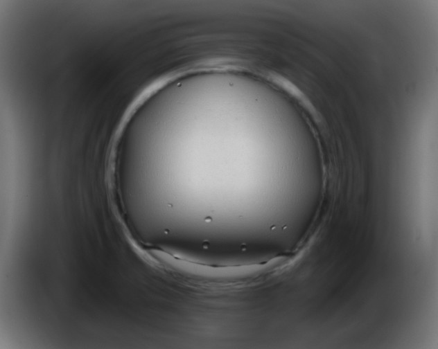 X0000086071421200704132030