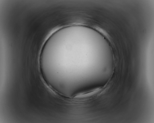 X0000086071423200704132030