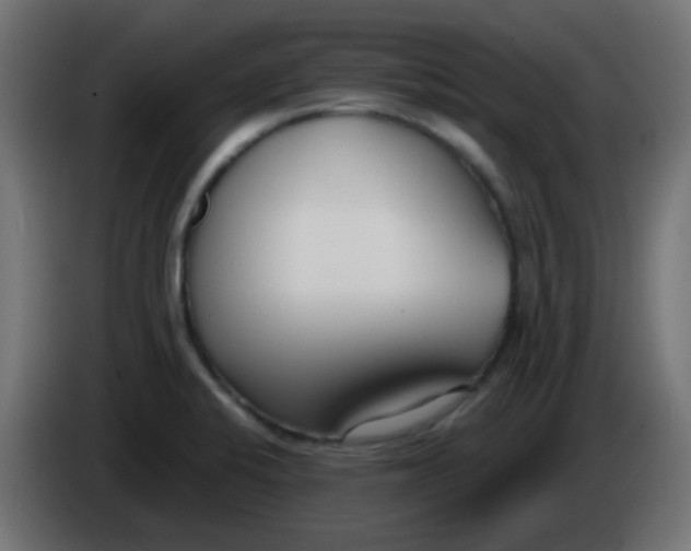 X0000086071424200704132030