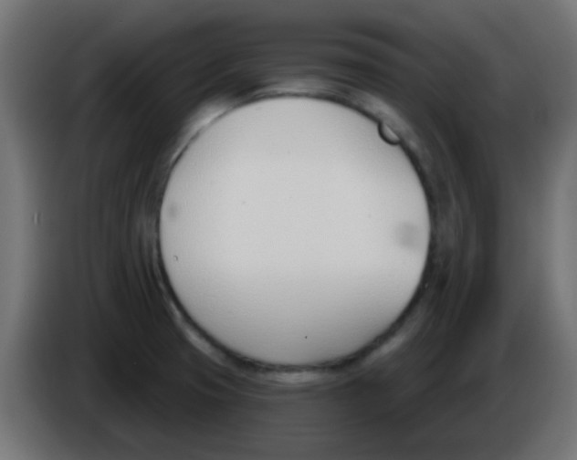 X0000086071425200704132030