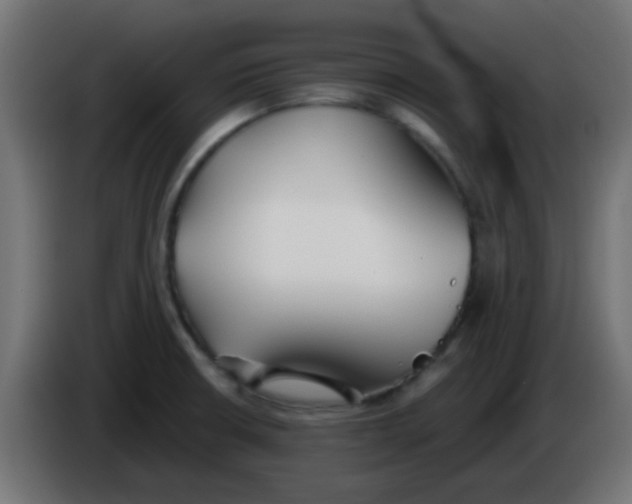 X0000086071426200704132030