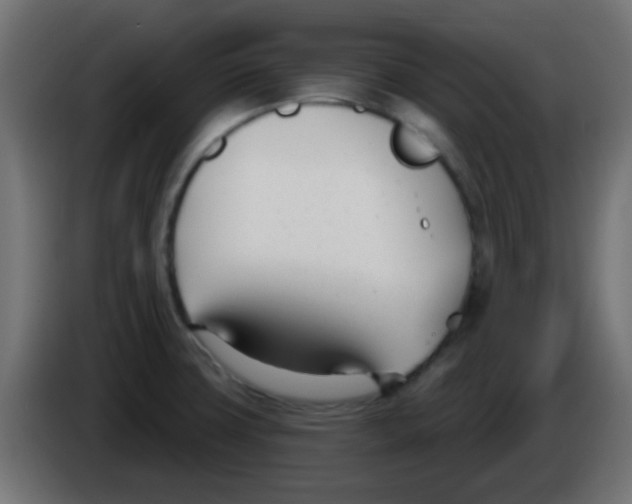 X0000086071427200704132030