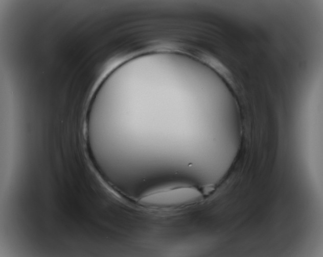 X0000086071428200704132030