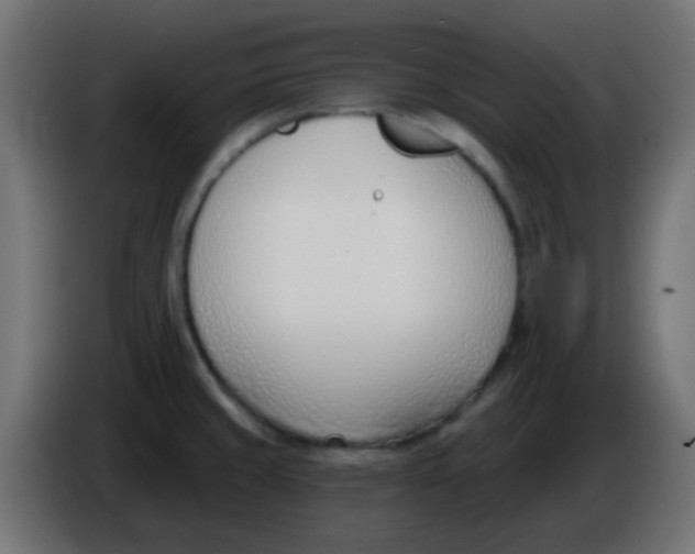 X0000086071429200704132030