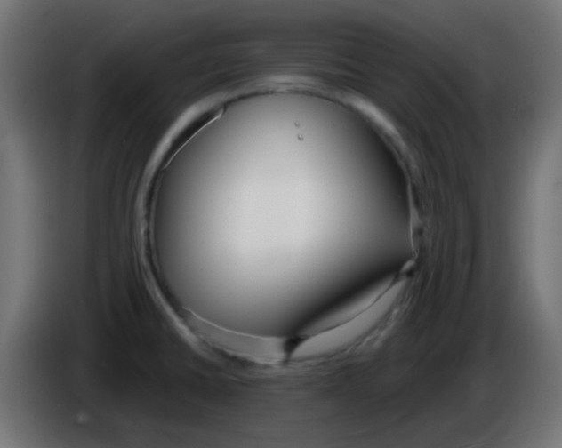 X0000086071430200704132030