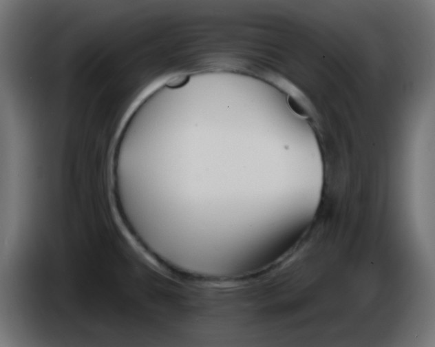 X0000086071431200704132030