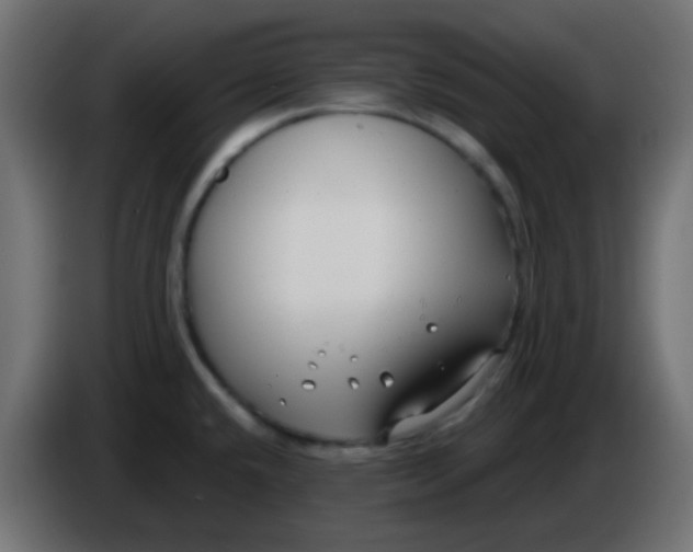 X0000086071432200704132030