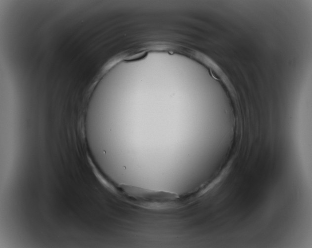 X0000086071433200704132030