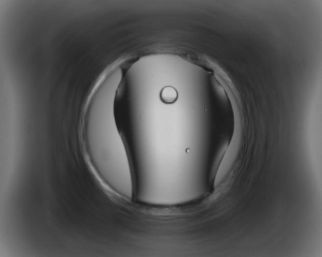 X0000086071434200704132030