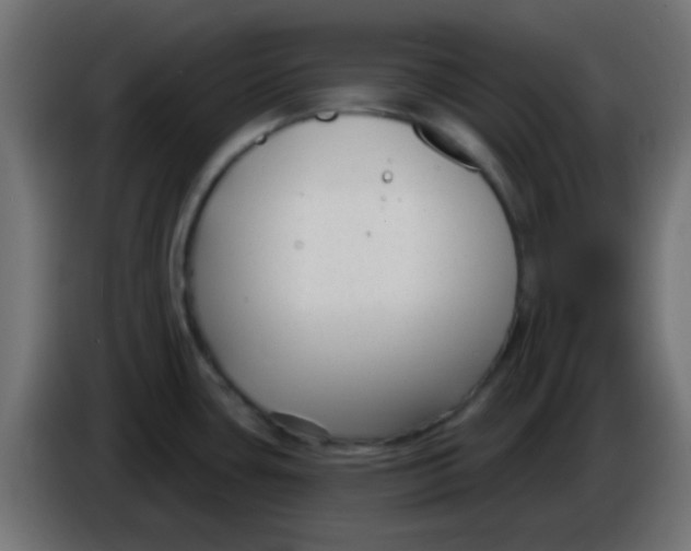 X0000086071435200704132030