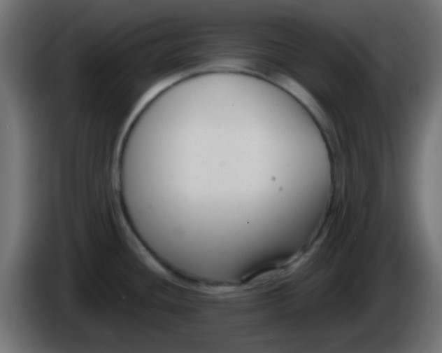 X0000086071436200704132030