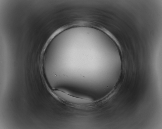 X0000086071437200704132030
