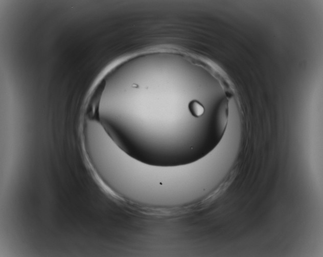 X0000086071438200704132030