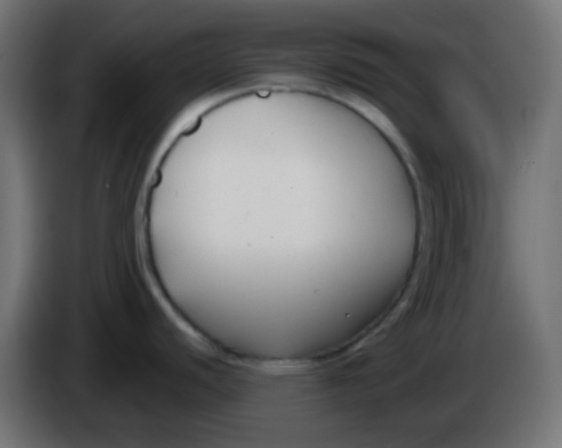 X0000086071440200704132030