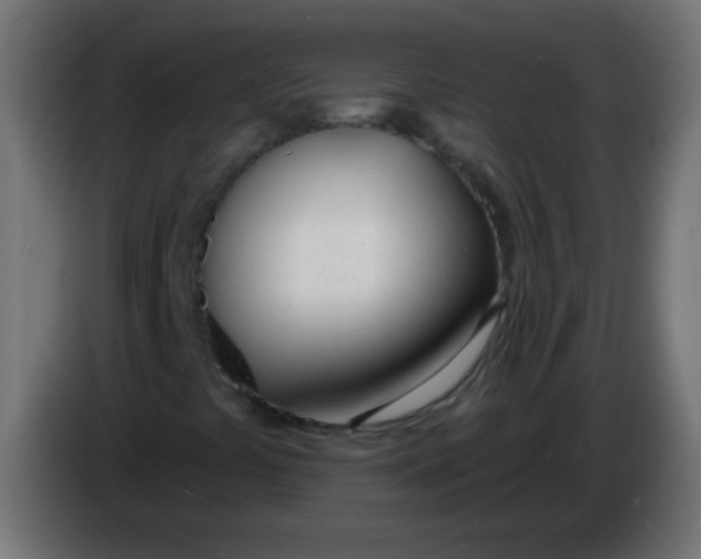 X0000086071441200704132030