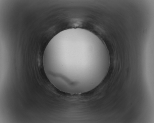 X0000086071442200704132030