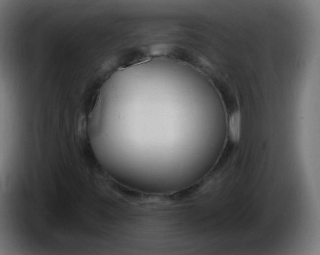 X0000086071443200704132030