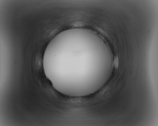 X0000086071444200704132030