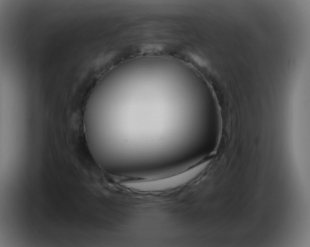 X0000086071445200704132030