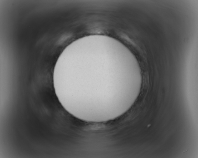 X0000086071446200704132030