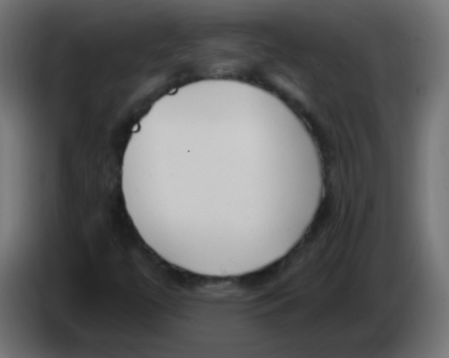 X0000086071447200704132030